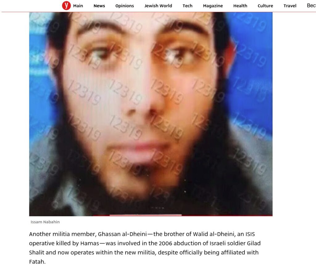 عصام النباهين