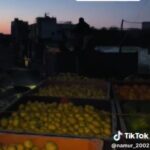 تحركات قرب محور فيلادلفيا — 3